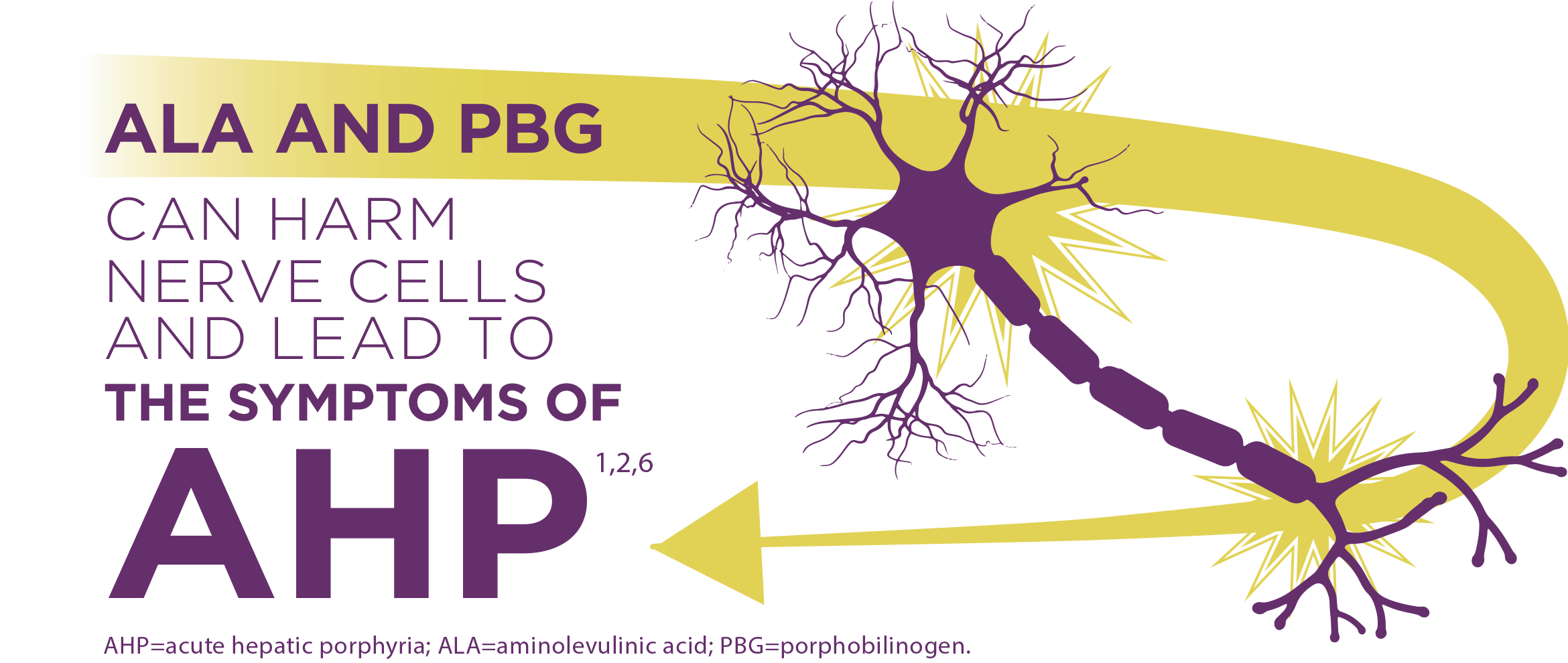 Acute hepatic porphyria is caused by a build-up of neurotoxic intermediates, ALA & PBG, in the liver