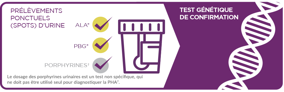 Prélèvements ponctuels (spots) d’urine